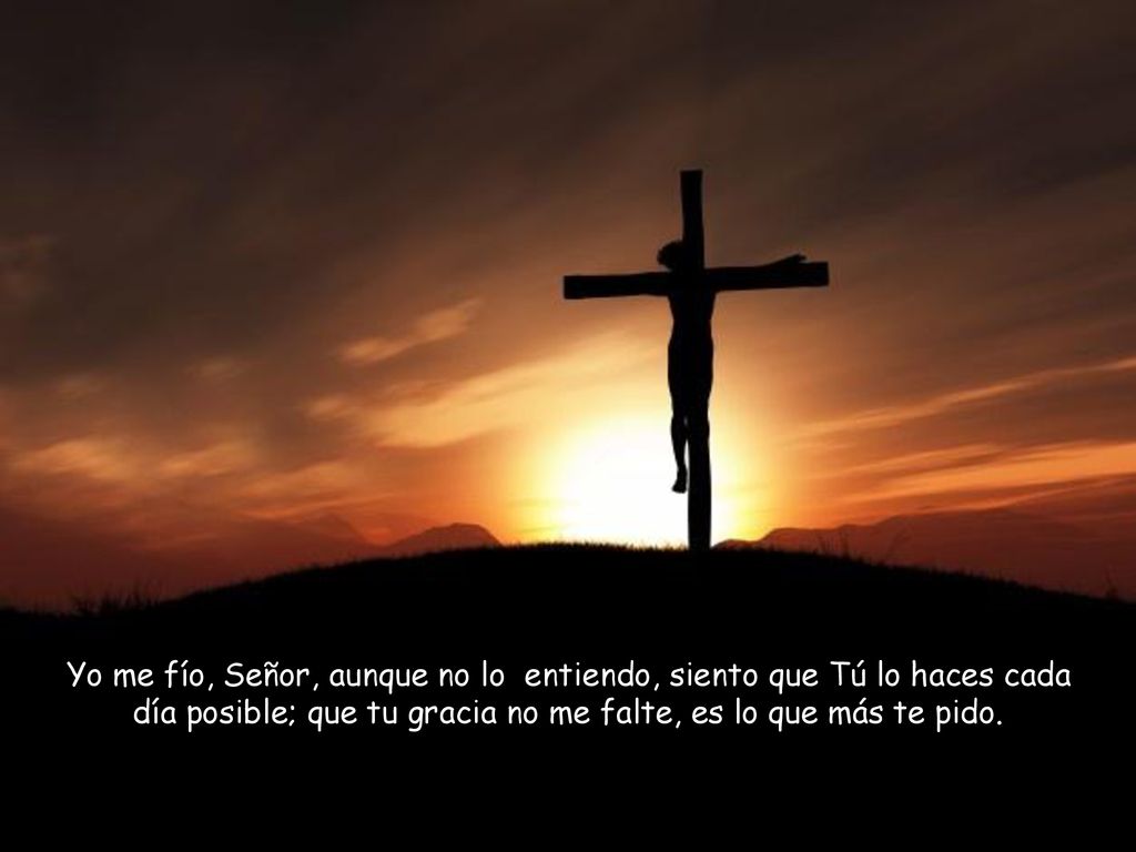 Yo me fío, Señor, aunque no lo entiendo, siento que Tú lo haces cada día posible; que tu gracia no me falte, es lo que más te pido.
