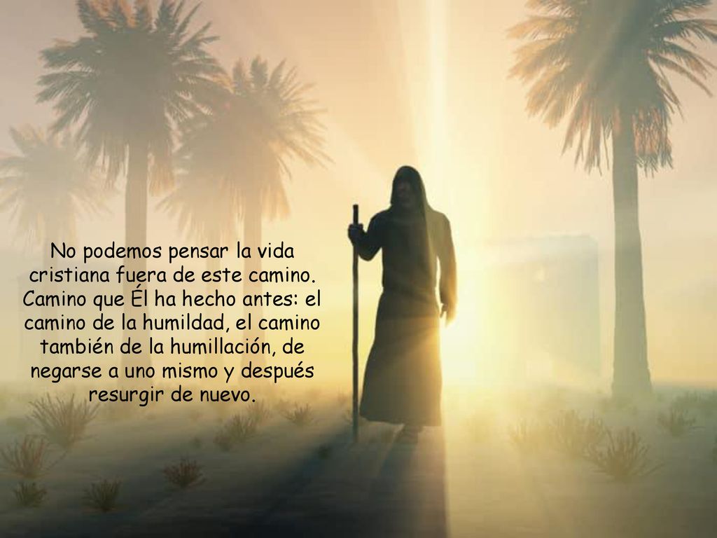 No podemos pensar la vida cristiana fuera de este camino