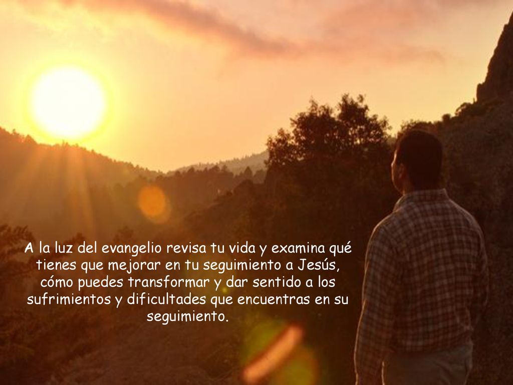 A la luz del evangelio revisa tu vida y examina qué tienes que mejorar en tu seguimiento a Jesús, cómo puedes transformar y dar sentido a los sufrimientos y dificultades que encuentras en su seguimiento.