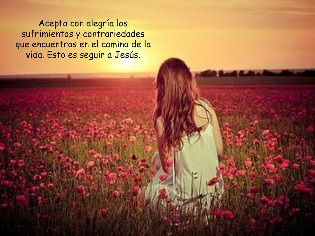 Acepta con alegría los sufrimientos y contrariedades que encuentras en el camino de la vida.