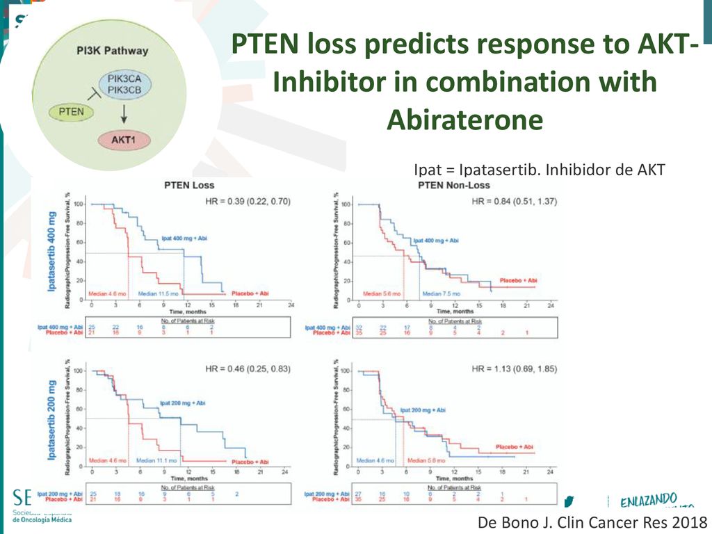PTEN loss predicts response to AKT-Inhibitor in combination with Abiraterone
