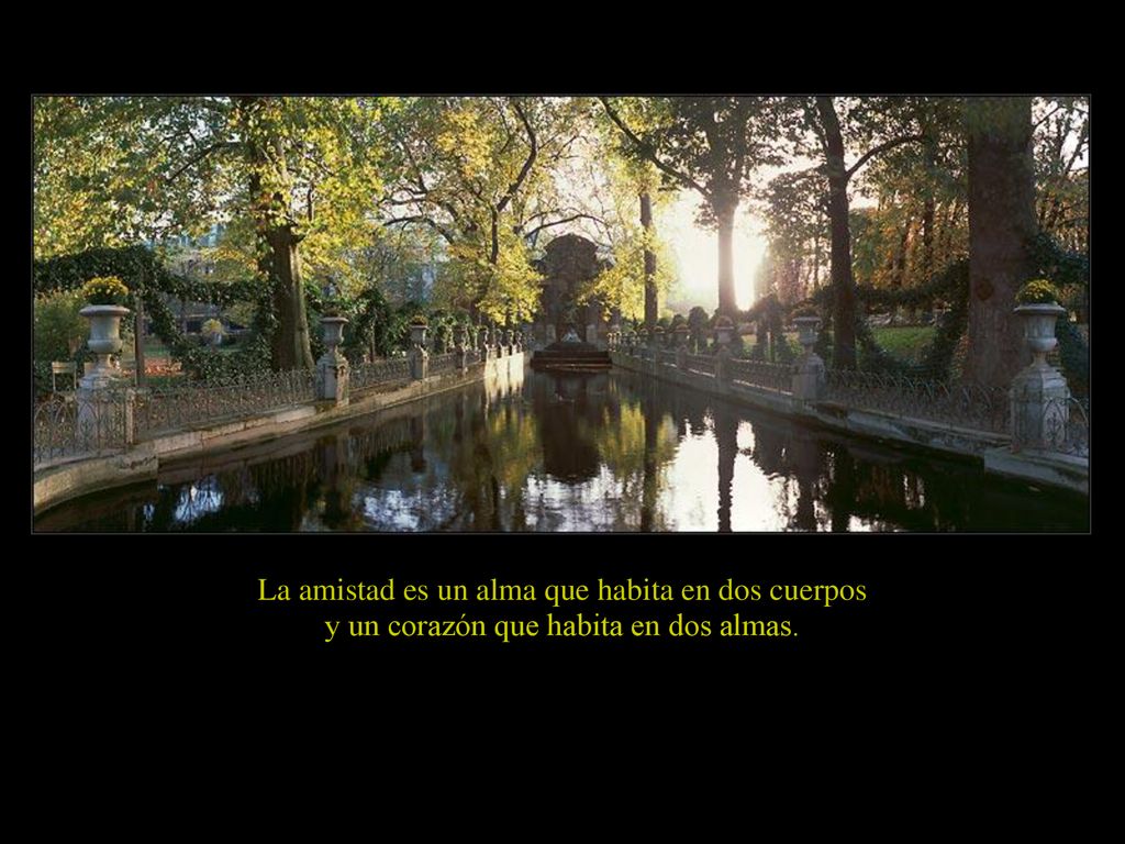 La amistad es un alma que habita en dos cuerpos