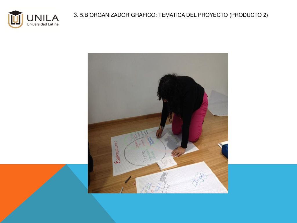 3. 5.b ORGANIZADOR GRAFICO: TEMATICA DEL PROYECTO (Producto 2)