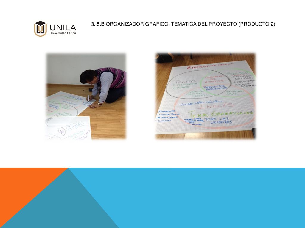 3. 5.b ORGANIZADOR GRAFICO: TEMATICA DEL PROYECTO (Producto 2)