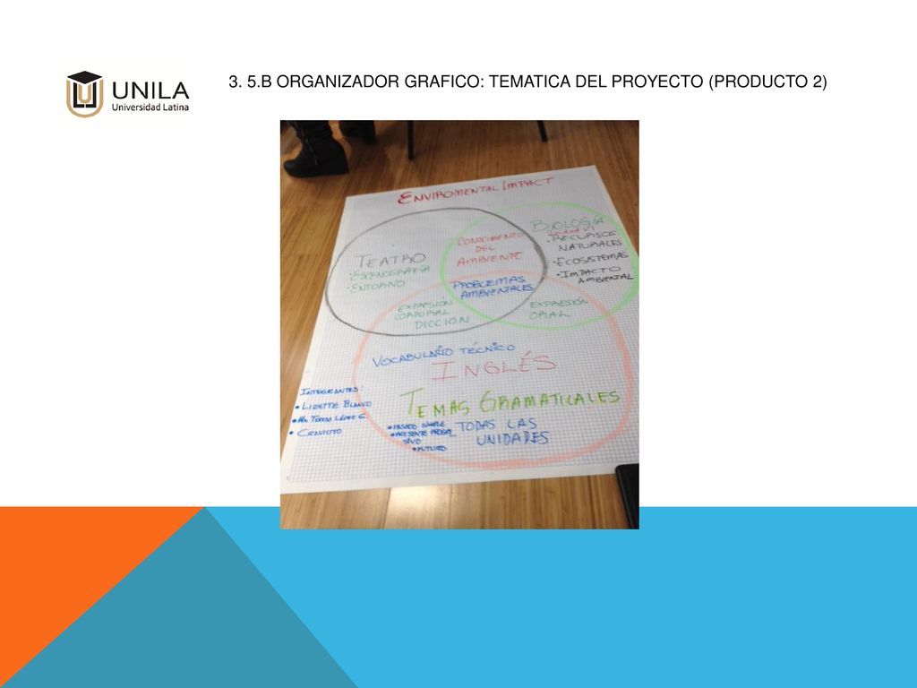 3. 5.b ORGANIZADOR GRAFICO: TEMATICA DEL PROYECTO (Producto 2)