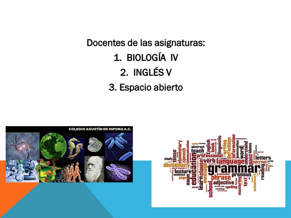 Docentes de las asignaturas: 1. BIOLOGÍA IV 2. INGLÉS V 3