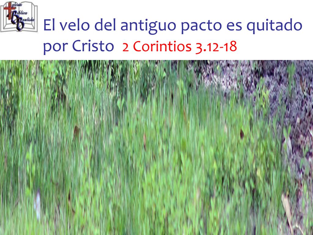 El velo del antiguo pacto es quitado por Cristo 2 Corintios