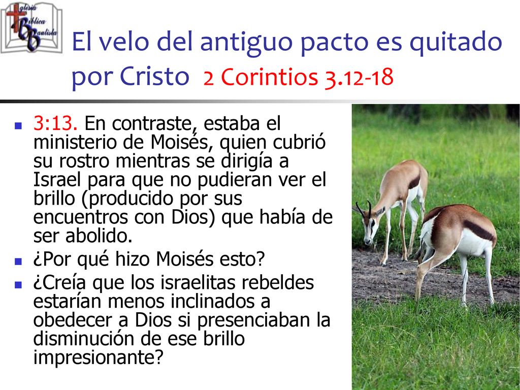 El velo del antiguo pacto es quitado por Cristo 2 Corintios