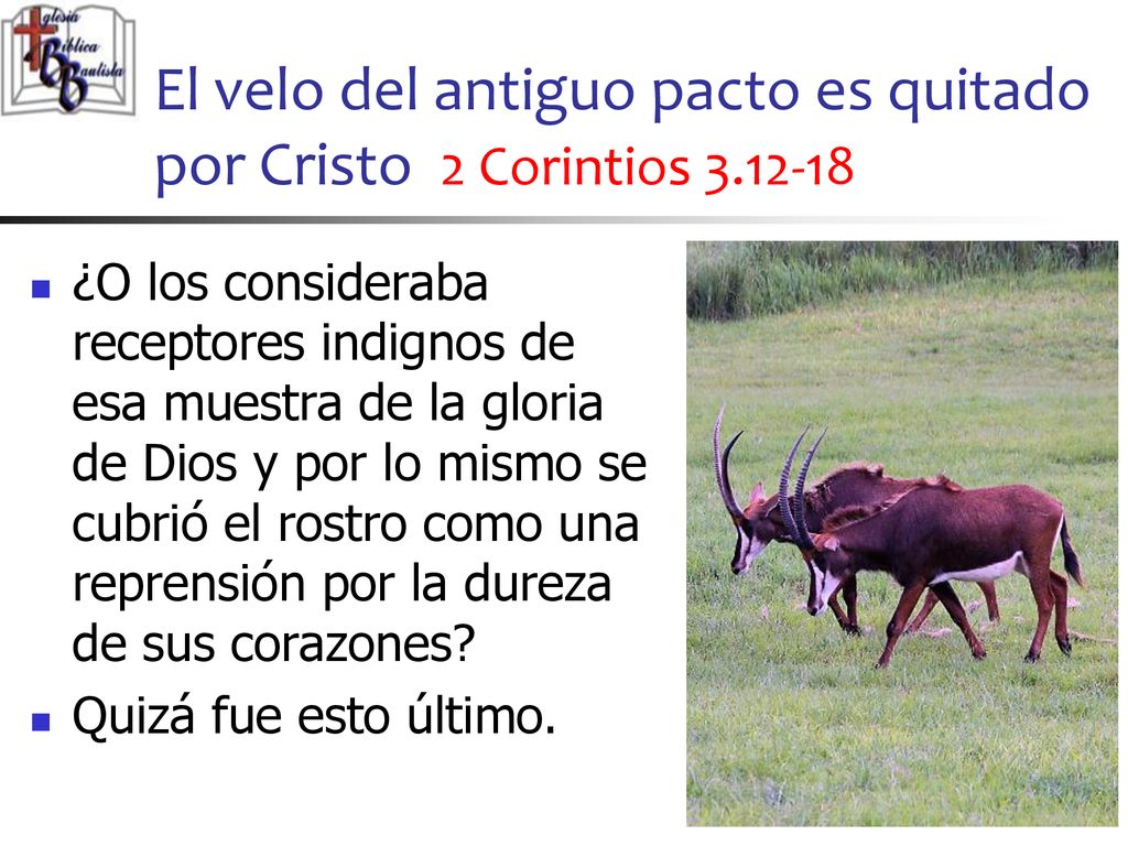 El velo del antiguo pacto es quitado por Cristo 2 Corintios