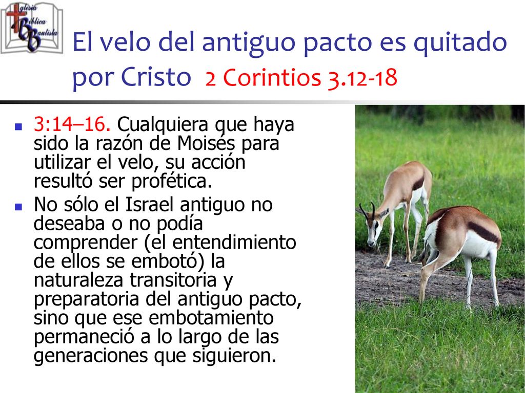 El velo del antiguo pacto es quitado por Cristo 2 Corintios