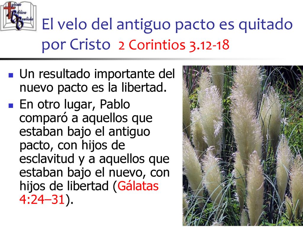 El velo del antiguo pacto es quitado por Cristo 2 Corintios