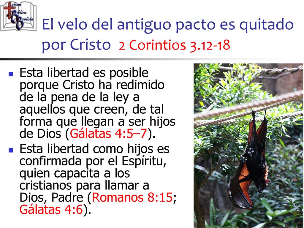 El velo del antiguo pacto es quitado por Cristo 2 Corintios