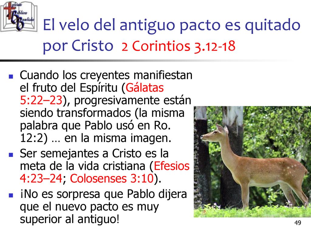 El velo del antiguo pacto es quitado por Cristo 2 Corintios