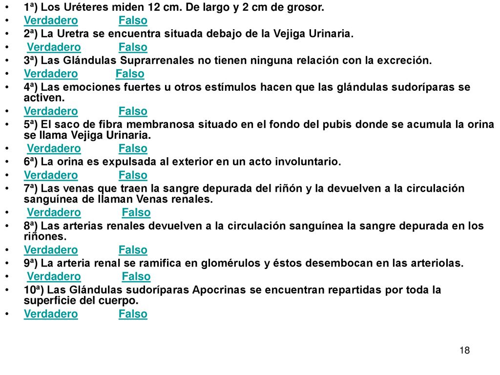 1ª) Los Uréteres miden 12 cm. De largo y 2 cm de grosor.
