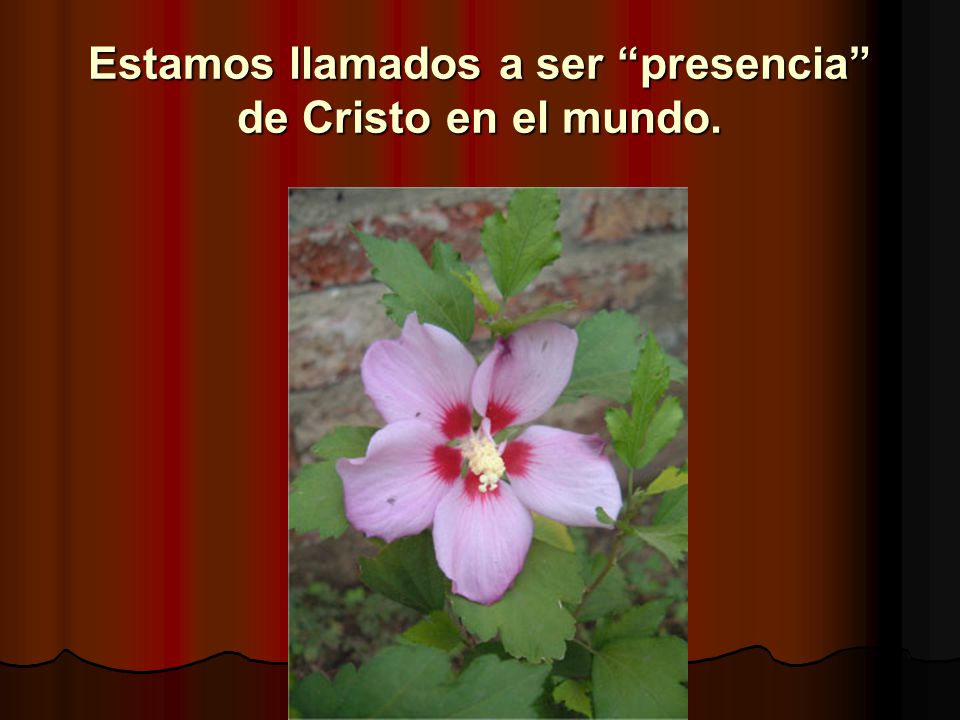 Estamos llamados a ser presencia de Cristo en el mundo.