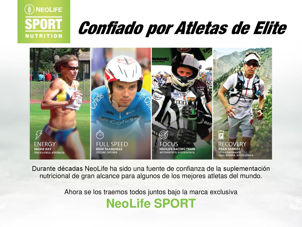 Ahora se los traemos todos juntos bajo la marca exclusiva