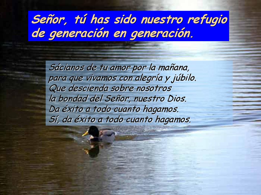 Señor, tú has sido nuestro refugio de generación en generación.