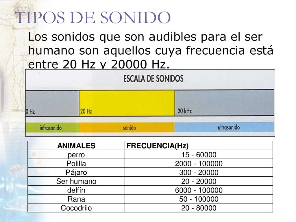 TIPOS DE SONIDO Los sonidos que son audibles para el ser humano son aquellos cuya frecuencia está entre 20 Hz y Hz.