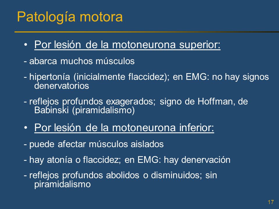 Patología motora Por lesión de la motoneurona superior: