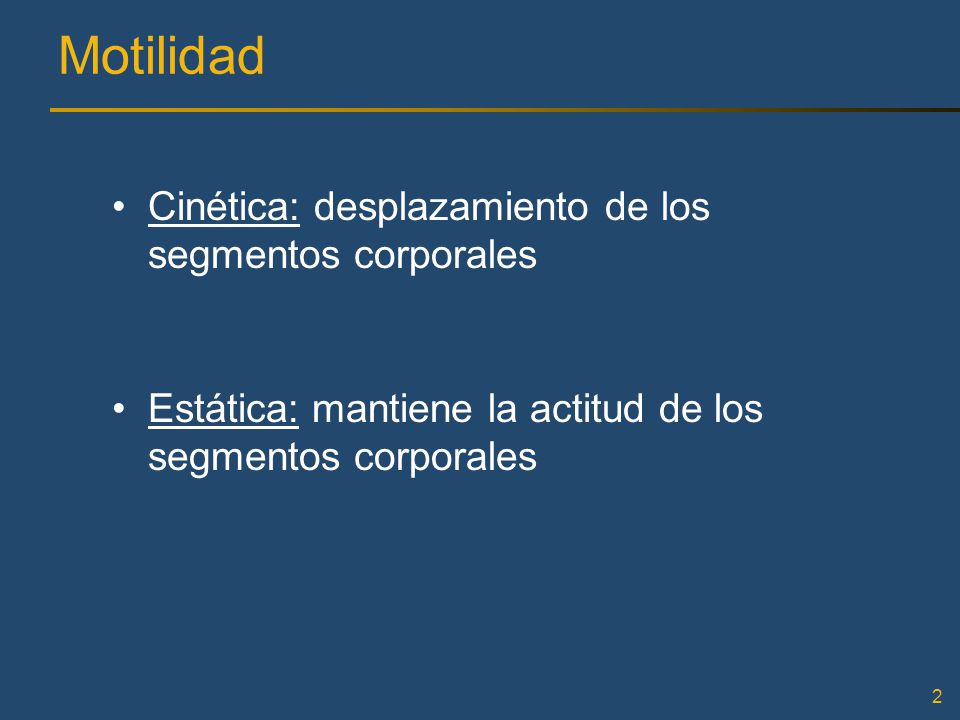 Motilidad Cinética: desplazamiento de los segmentos corporales