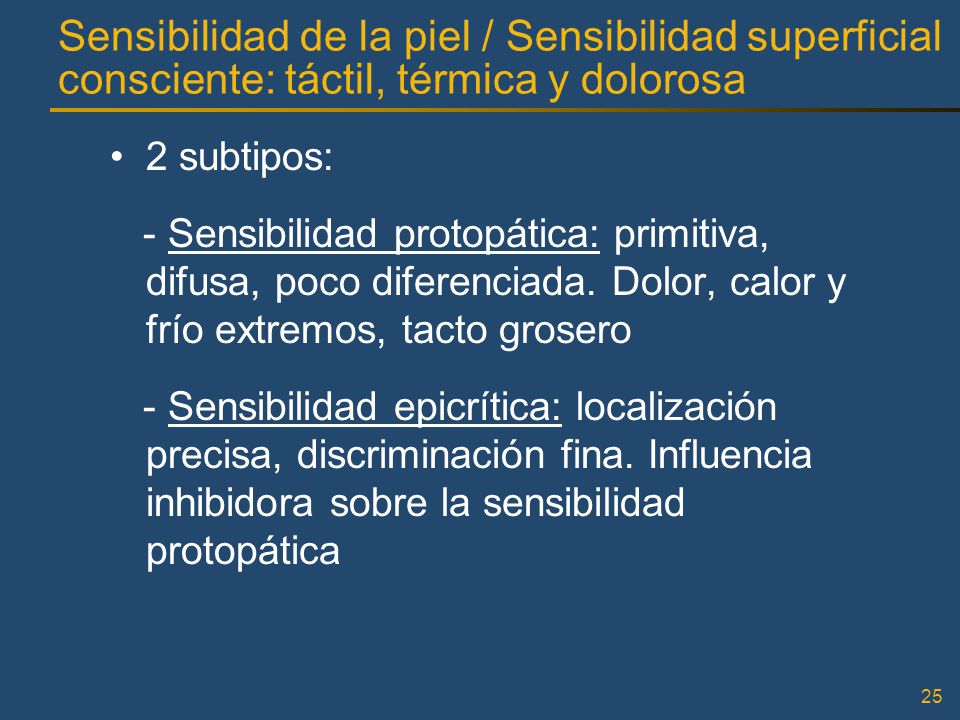 Sensibilidad de la piel / Sensibilidad superficial consciente: táctil, térmica y dolorosa