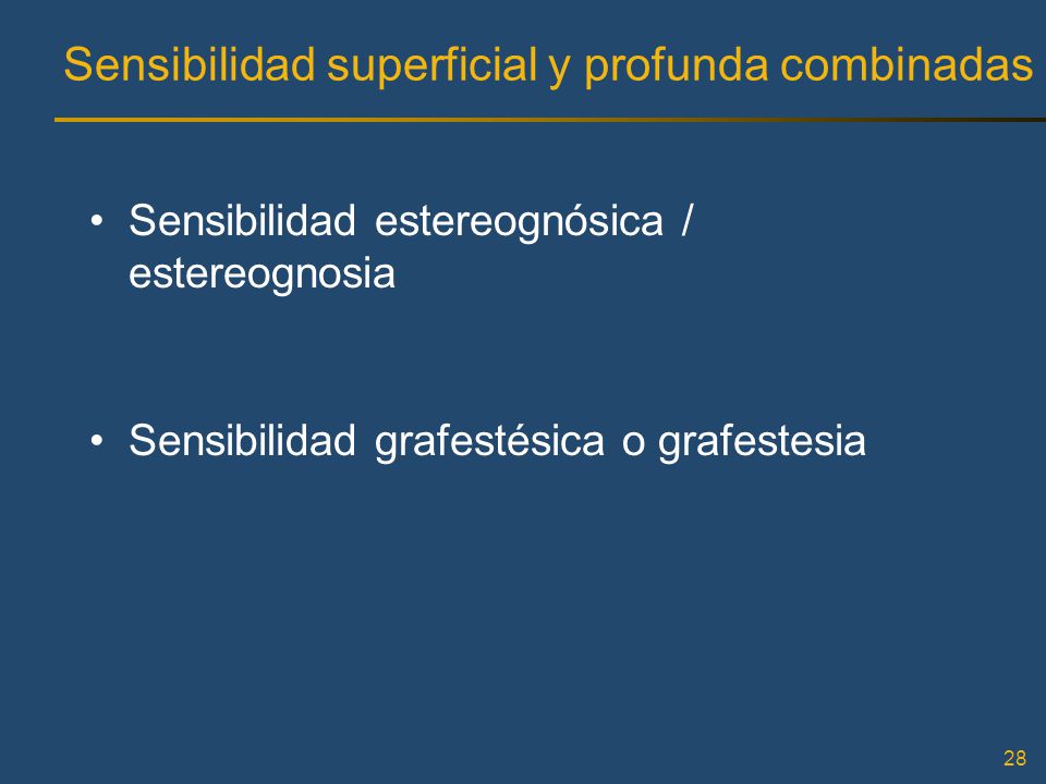 Sensibilidad superficial y profunda combinadas