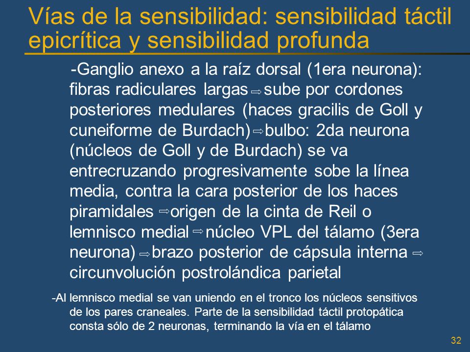 Vías de la sensibilidad: sensibilidad táctil epicrítica y sensibilidad profunda