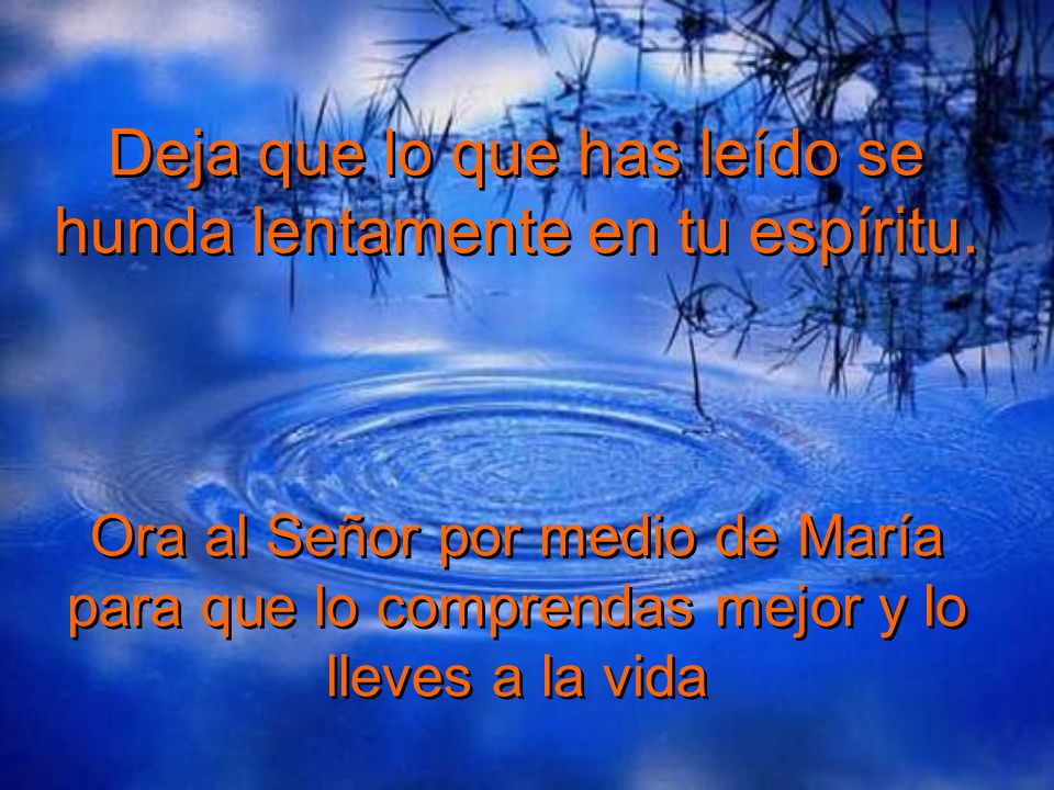 Deja que lo que has leído se hunda lentamente en tu espíritu.