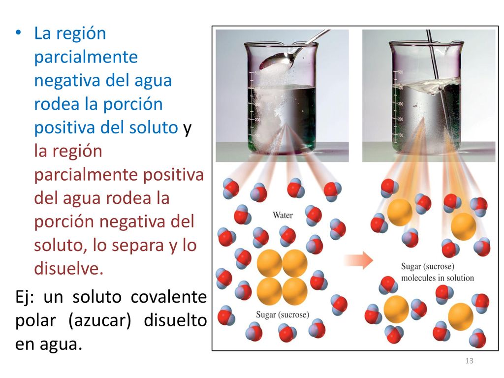 La región parcialmente negativa del agua rodea la porción positiva del soluto y la región parcialmente positiva del agua rodea la porción negativa del soluto, lo separa y lo disuelve.