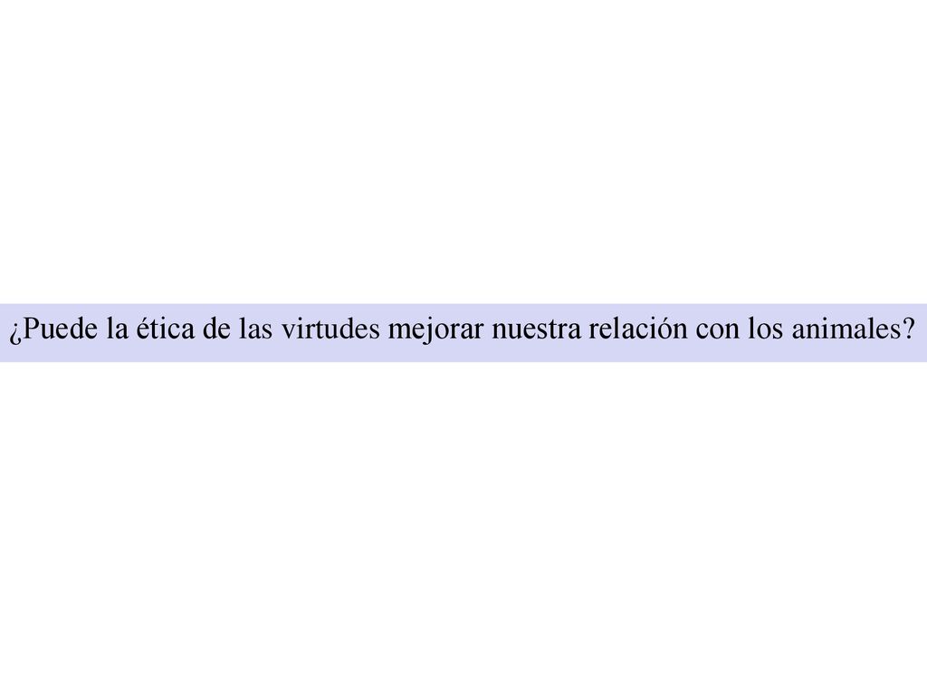 ¿Puede la ética de las virtudes mejorar nuestra relación con los animales