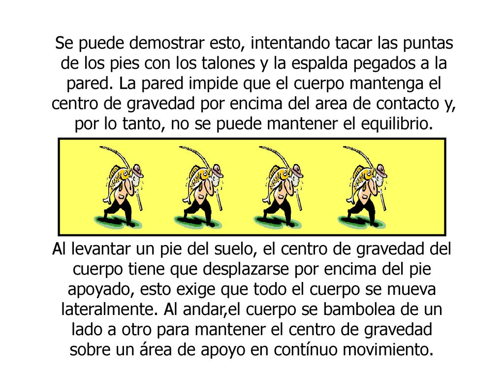 Se puede demostrar esto, intentando tacar las puntas de los pies con los talones y la espalda pegados a la pared. La pared impide que el cuerpo mantenga el centro de gravedad por encima del area de contacto y, por lo tanto, no se puede mantener el equilibrio.