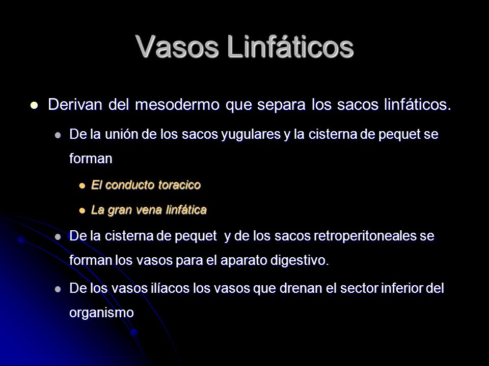 Vasos Linfáticos Derivan del mesodermo que separa los sacos linfáticos. De la unión de los sacos yugulares y la cisterna de pequet se forman.