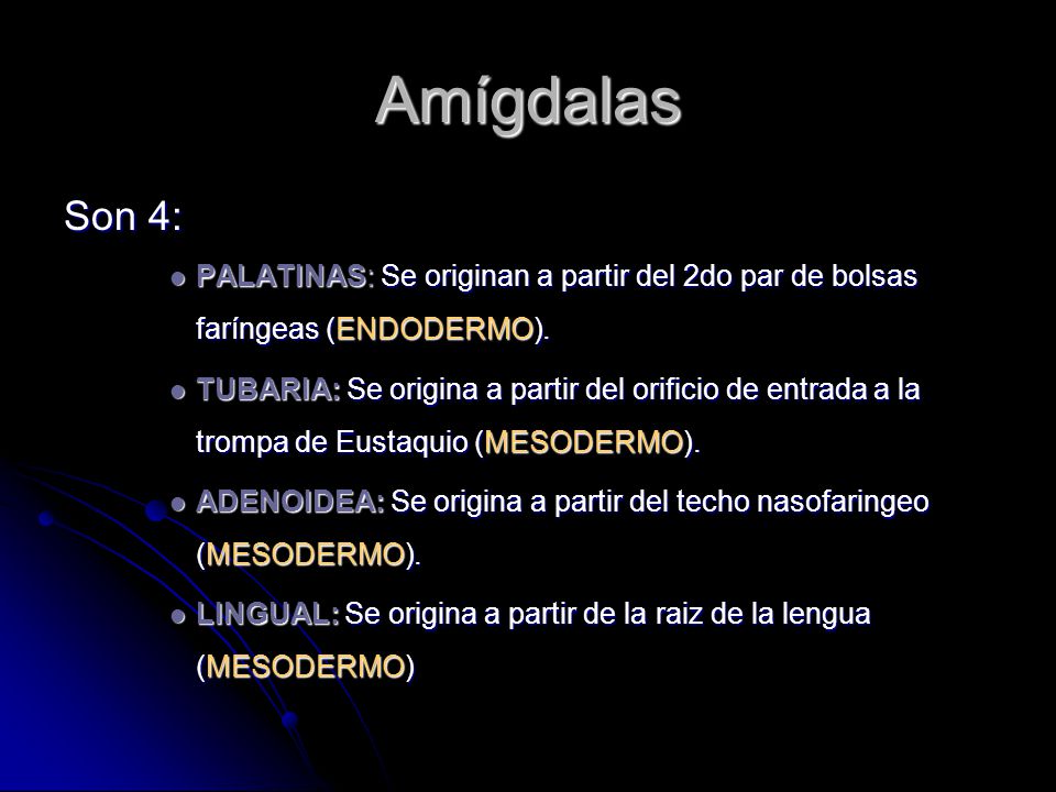 Amígdalas Son 4: PALATINAS: Se originan a partir del 2do par de bolsas faríngeas (ENDODERMO).