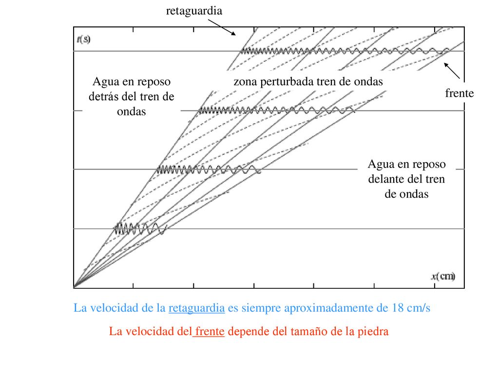 zona perturbada tren de ondas Agua en reposo detrás del tren de ondas