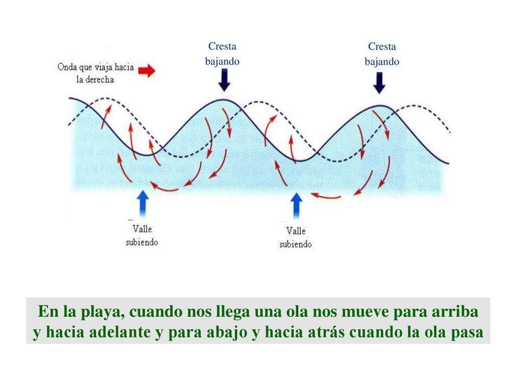 En la playa, cuando nos llega una ola nos mueve para arriba y hacia adelante y para abajo y hacia atrás cuando la ola pasa