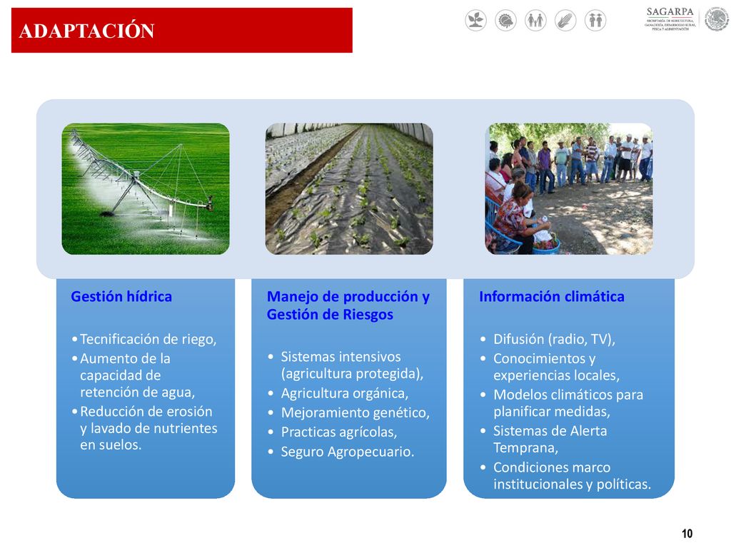 ADAPTACIÓN Gestión hídrica Manejo de producción y Gestión de Riesgos