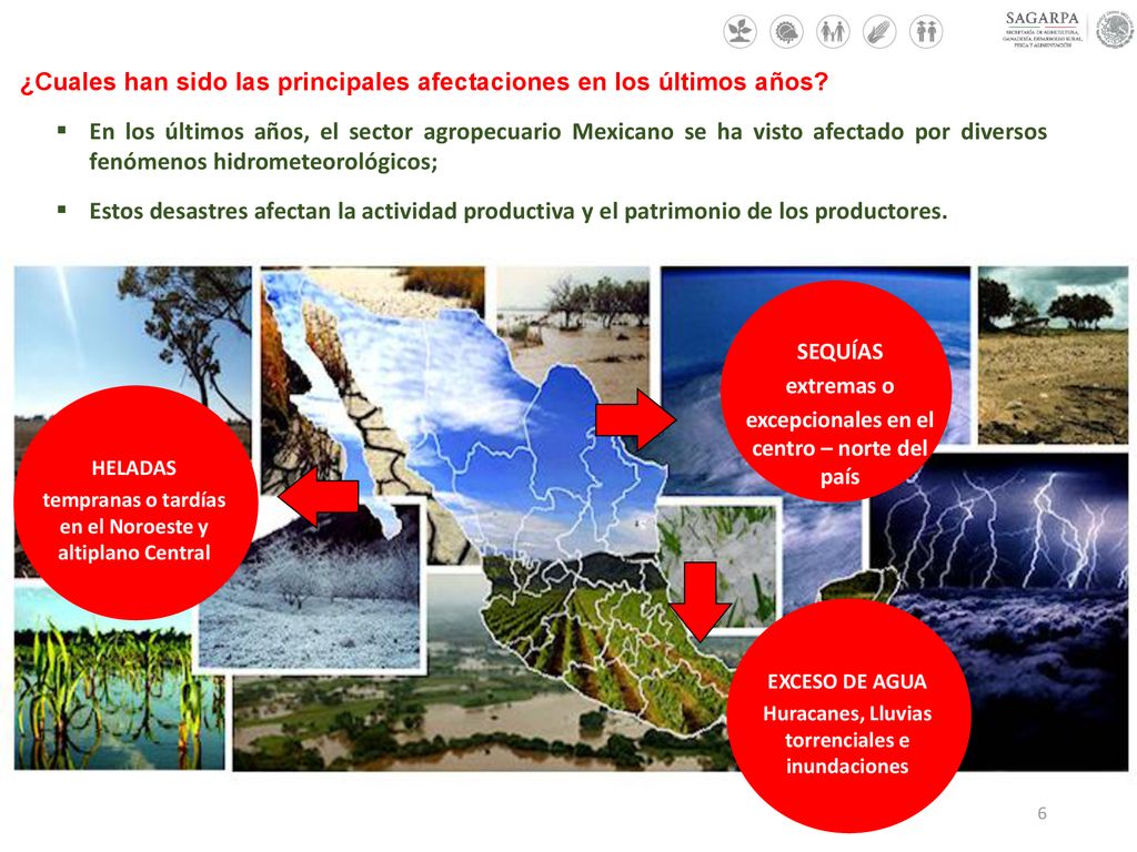 ¿Cuales han sido las principales afectaciones en los últimos años