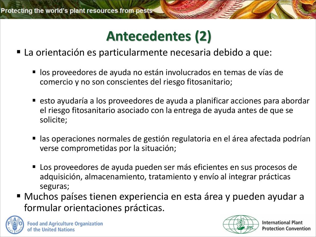 Antecedentes (2) La orientación es particularmente necesaria debido a que: