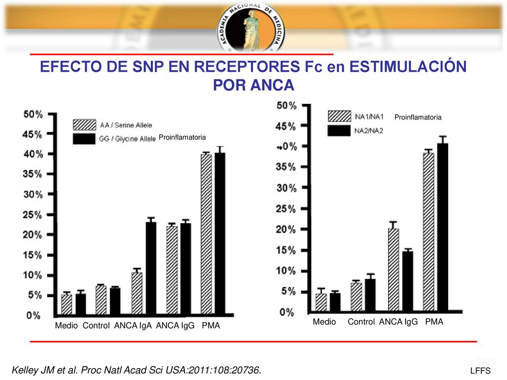 EFECTO DE SNP EN RECEPTORES Fc en ESTIMULACIÓN POR ANCA