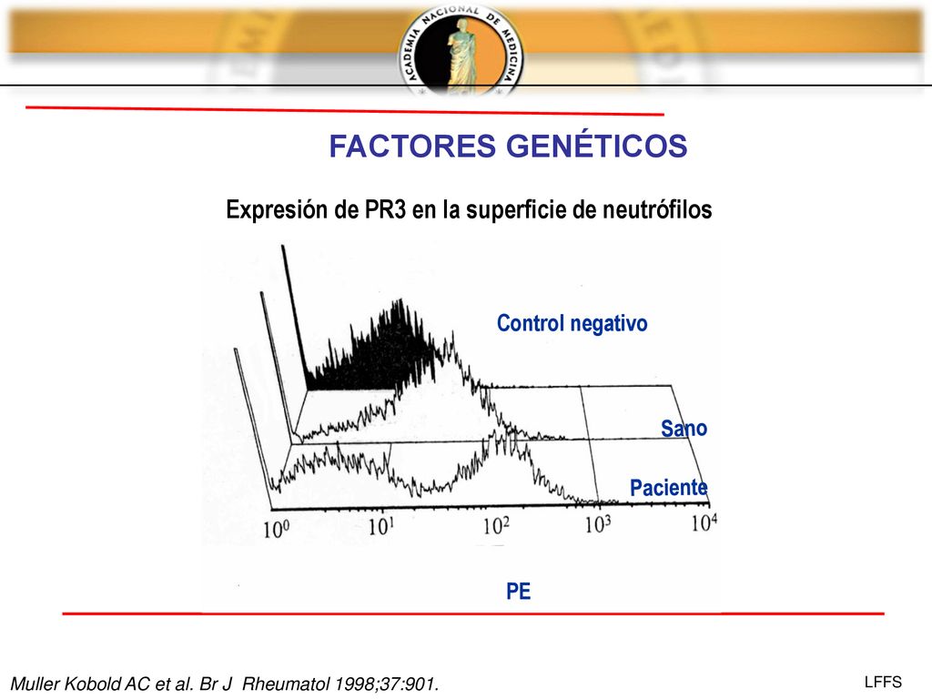 FACTORES GENÉTICOS Expresión de PR3 en la superficie de neutrófilos