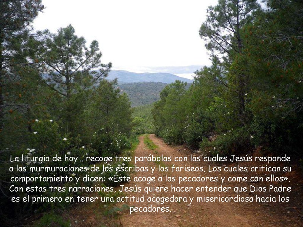 La liturgia de hoy… recoge tres parábolas con las cuales Jesús responde a las murmuraciones de los escribas y los fariseos.