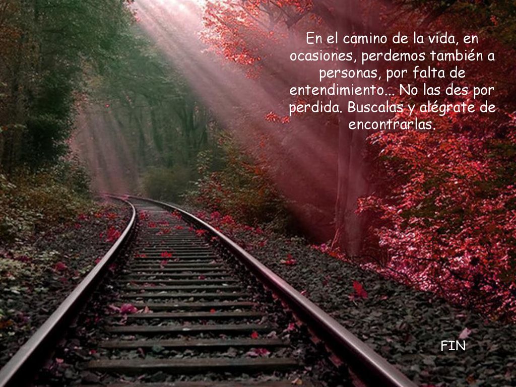 En el camino de la vida, en ocasiones, perdemos también a personas, por falta de entendimiento... No las des por perdida. Buscalas y alégrate de encontrarlas.