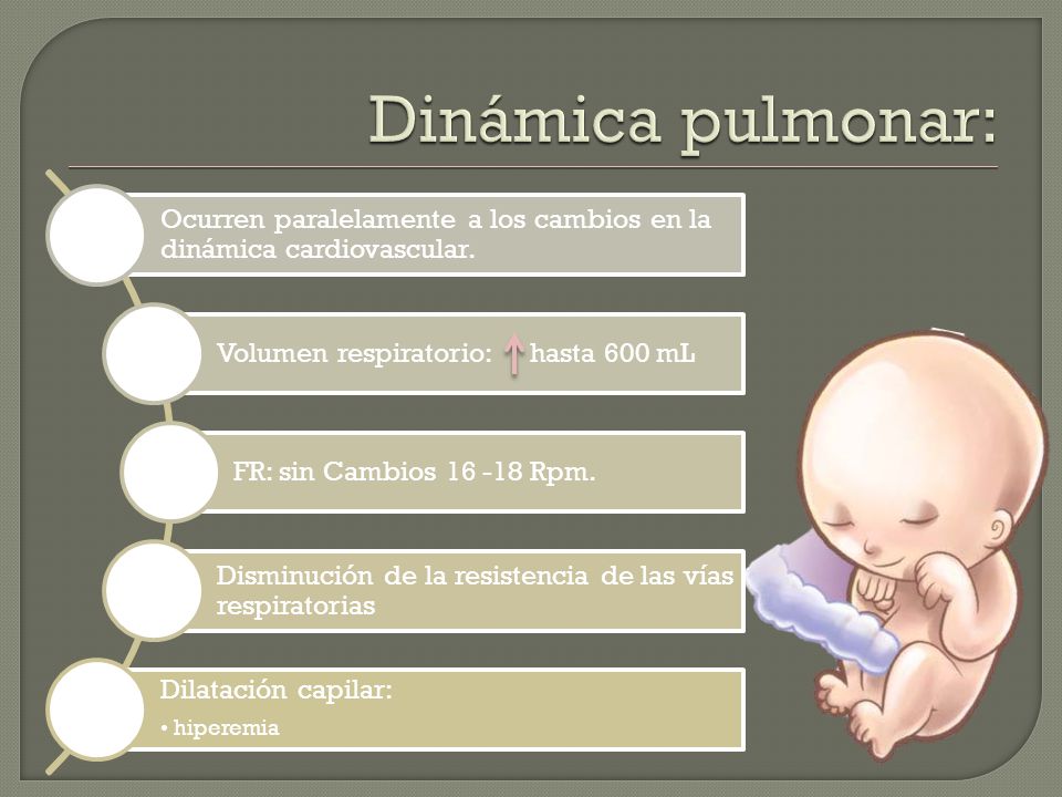 Dinámica pulmonar: Ocurren paralelamente a los cambios en la dinámica cardiovascular. Volumen respiratorio: hasta 600 mL.