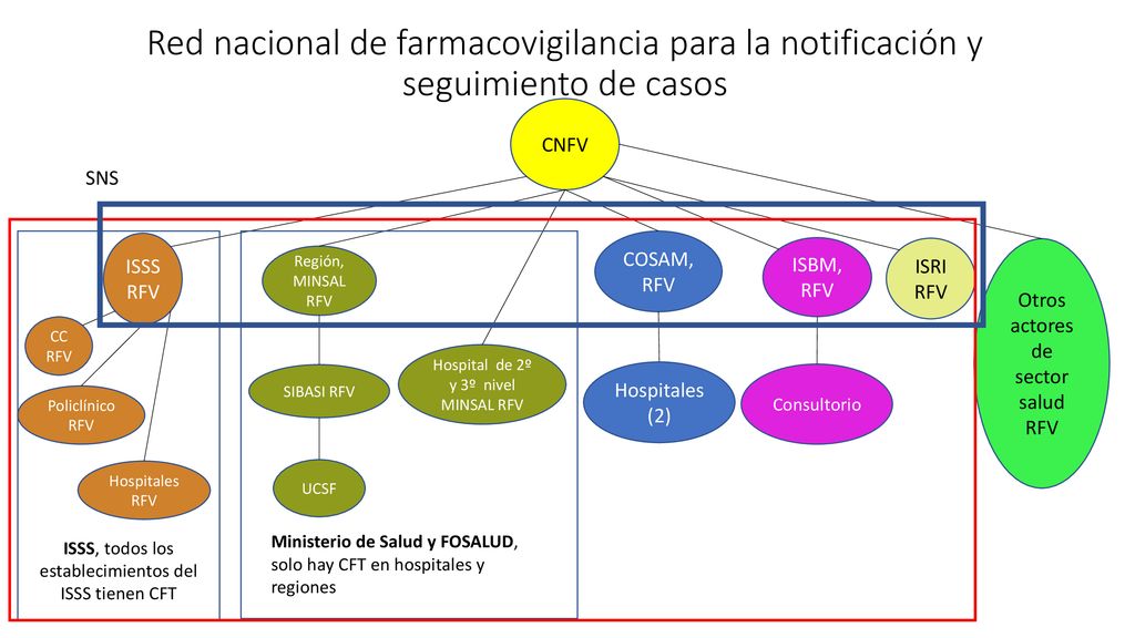 Red nacional de farmacovigilancia para la notificación y seguimiento de casos