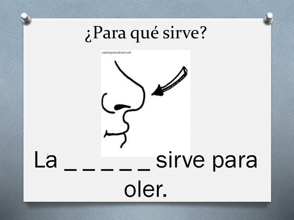 La _ _ _ _ _ sirve para oler.