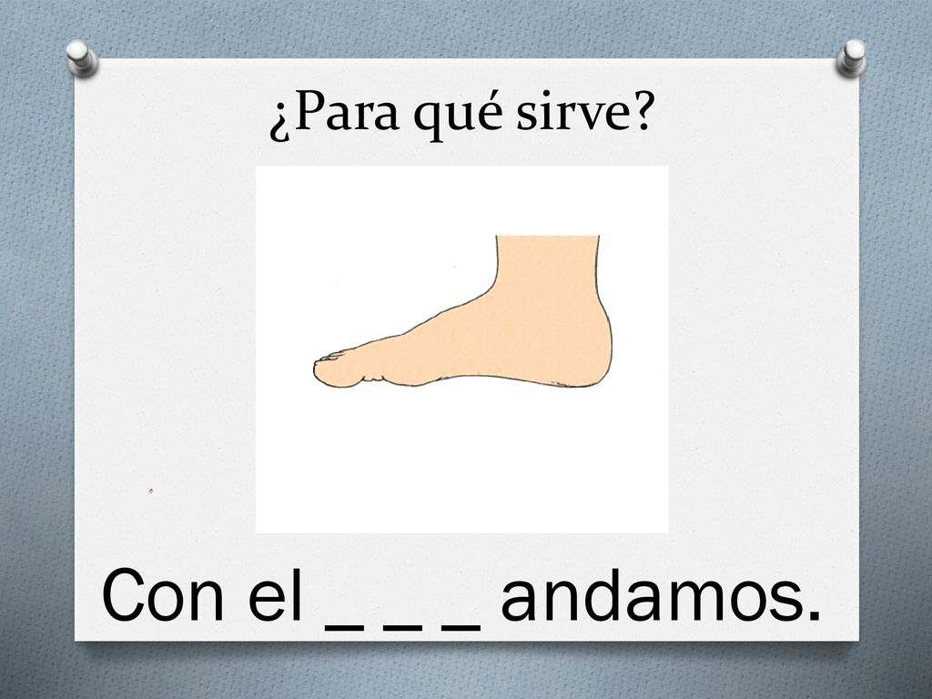 ¿Para qué sirve Con el _ _ _ andamos.