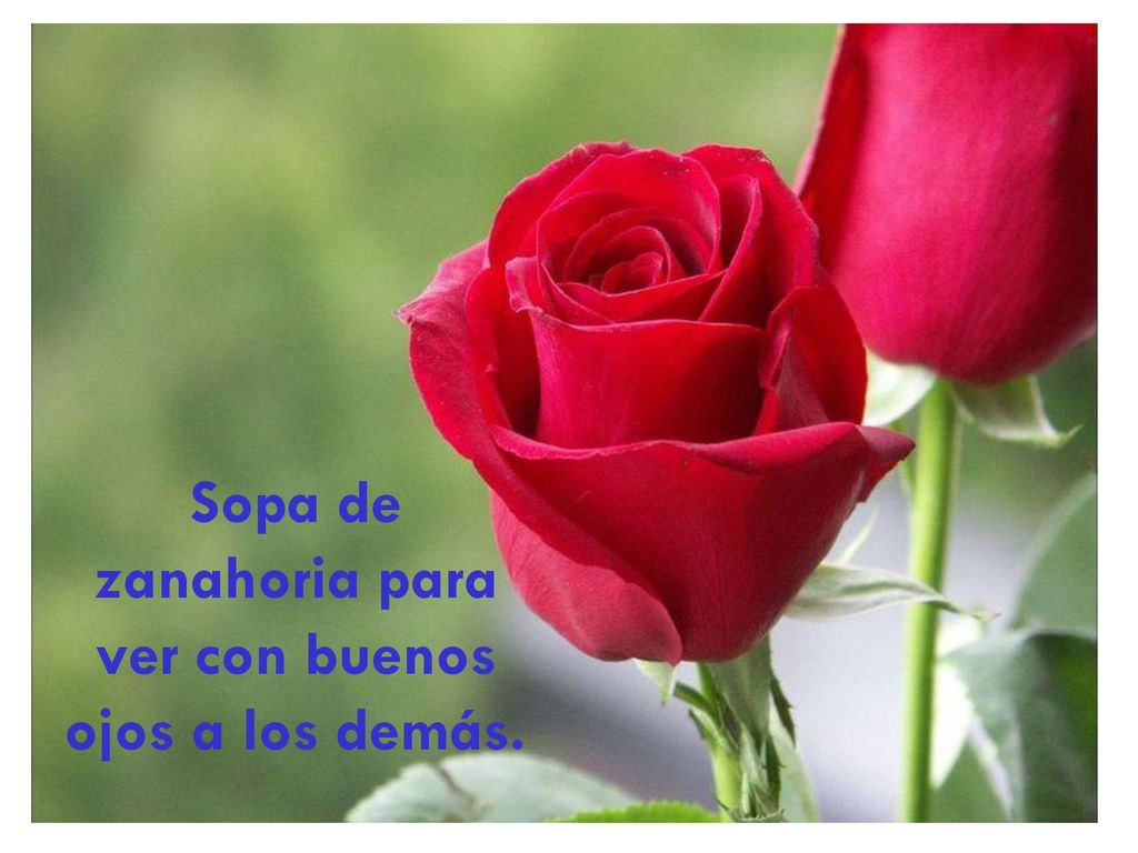 Sopa de zanahoria para ver con buenos ojos a los demás.