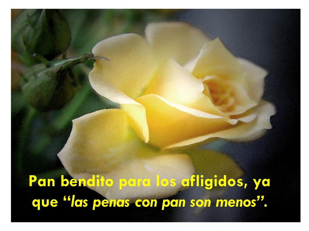 Pan bendito para los afligidos, ya que las penas con pan son menos .