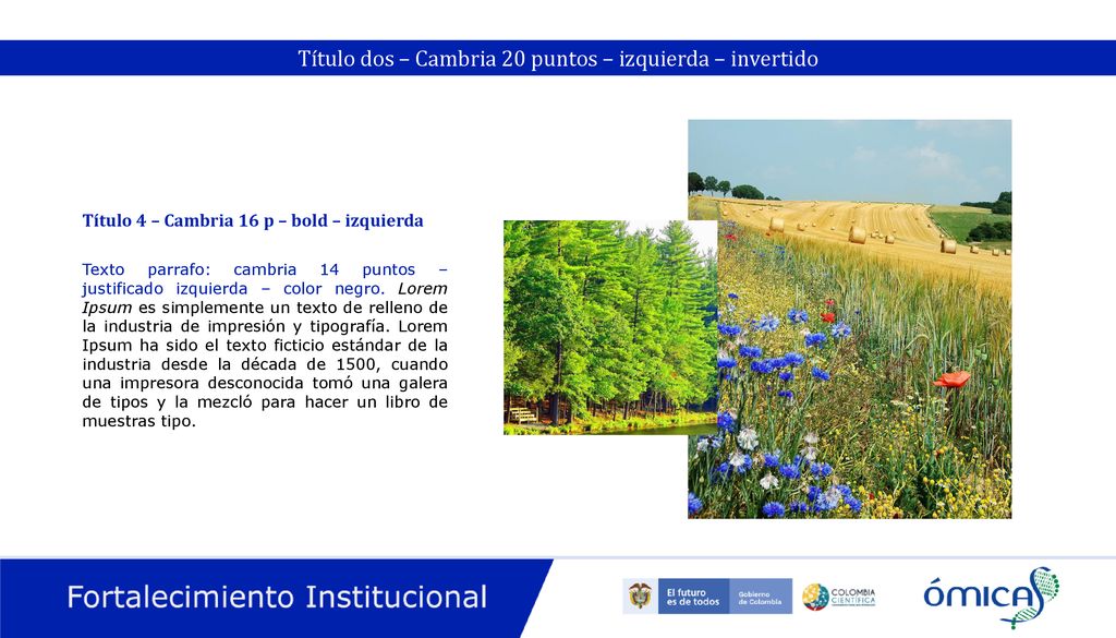 Título dos – Cambria 20 puntos – izquierda – invertido
