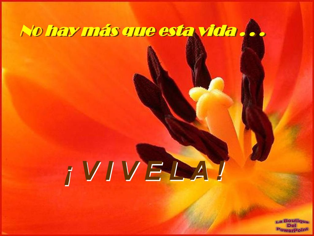 ¡ V I V E L A ! No hay más que esta vida . . .